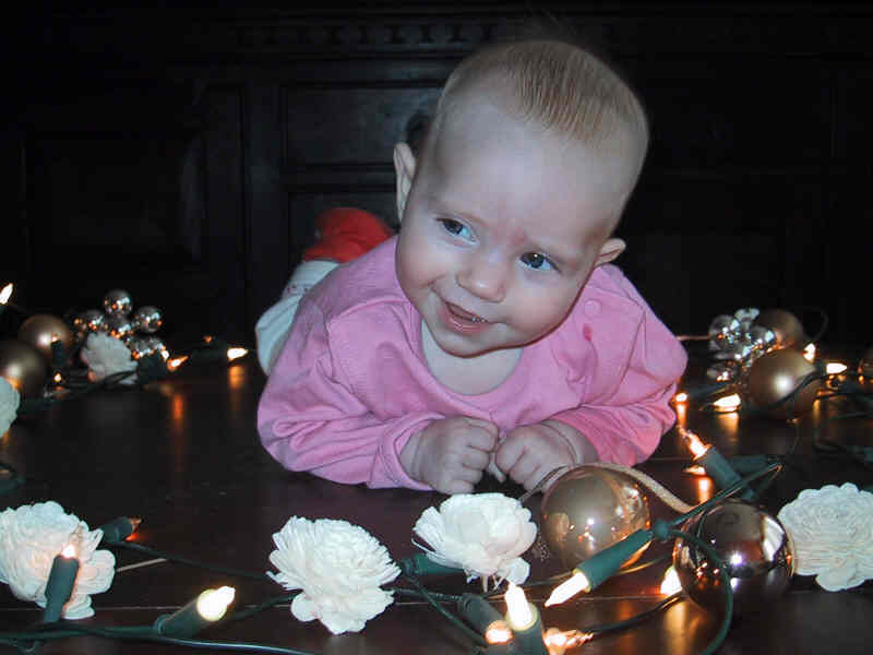 Cisca November